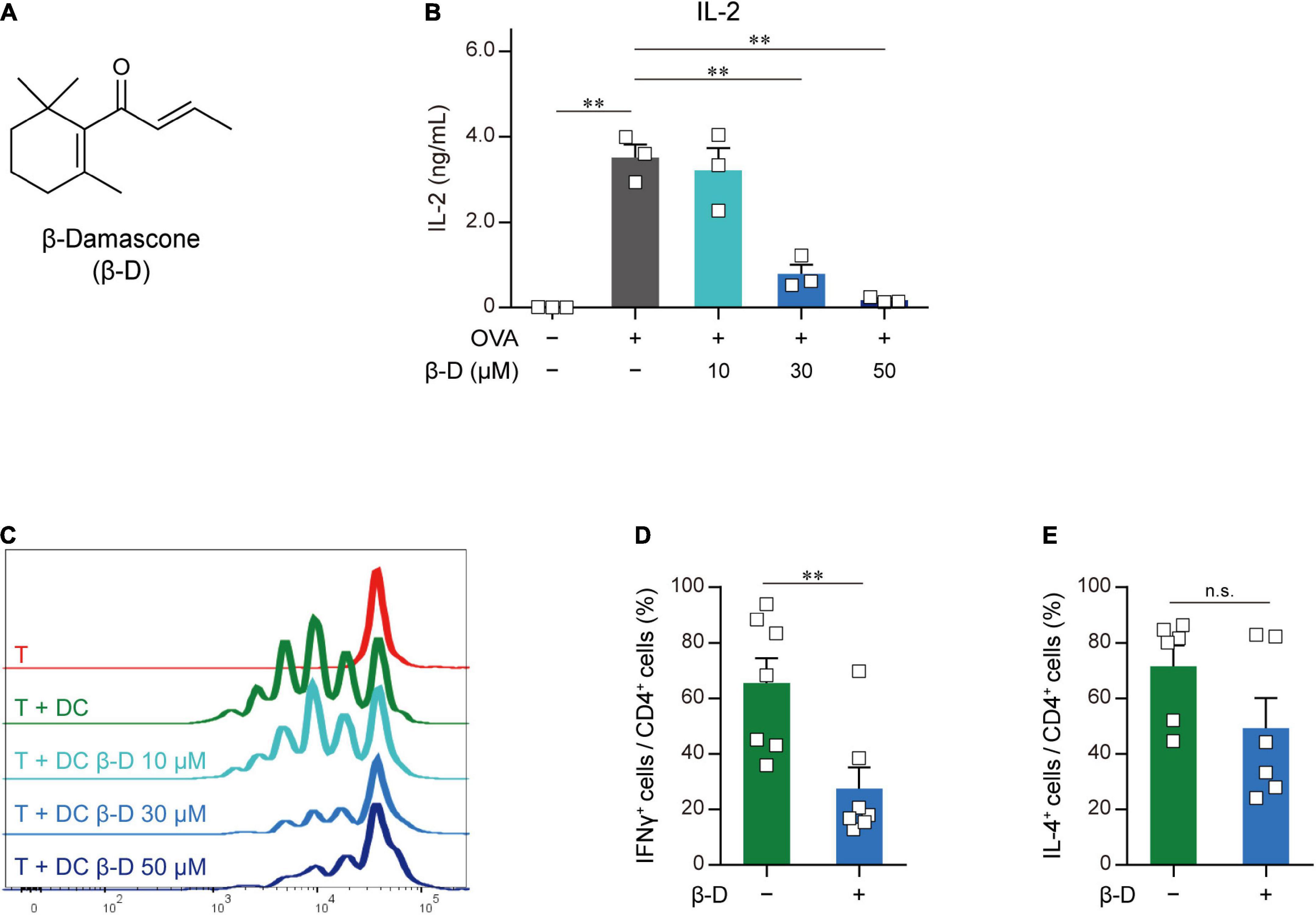 A rose flavor compound activating the NRF2 pathway in dendritic cells ameliorates contact hypersensitivity in mice